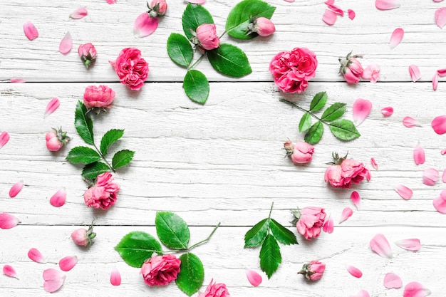 Blumen Zusammensetzung. Rahmen aus frischen Rosenblüten auf weißem Holzhintergrund. Flach liegen. Attrappe, Lehrmodell, Simulation