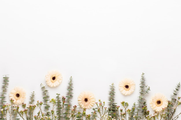 Blumen Zusammensetzung. Rahmen aus Pastellgerbera auf weißem Hintergrund. Flache Lage, Draufsicht, Kopierraum.