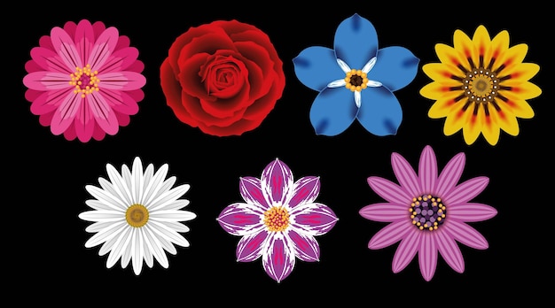 Blumen