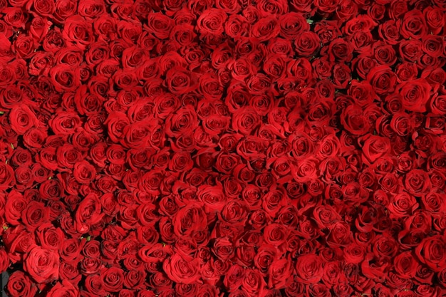 Blumen