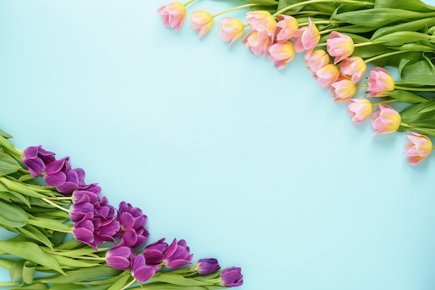 Blumenanordnung von rosa und lila Tulpen auf blauem Hintergrund mit Kopienraum