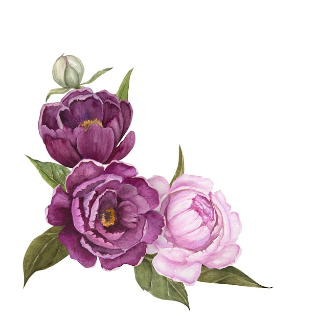 Blumenaquarellillustration von Pfingstrosen lokalisierter Blumenstrauß