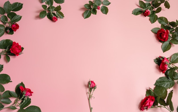 Blumenarrangement mit frischen natürlichen Rosen auf rosa Hintergrundkopienraum.