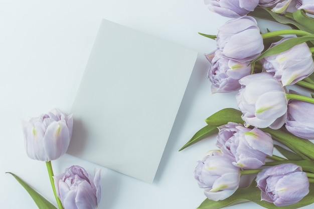 Blumenarrangement mit Tulpenknospen und Blättern auf einem kalten blauen Hintergrund.