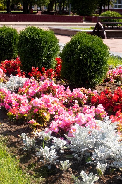 Blumenbeet mit bunten Blumen und grünen Büschen