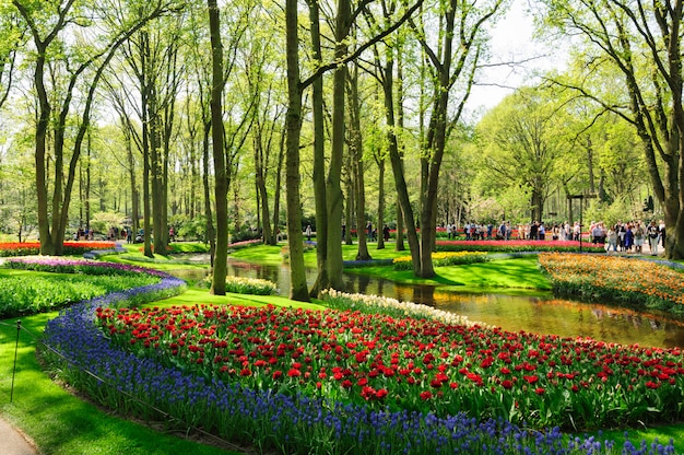 Blumenbeete von Keukenhof-Gärten in Lisse, die Niederlande