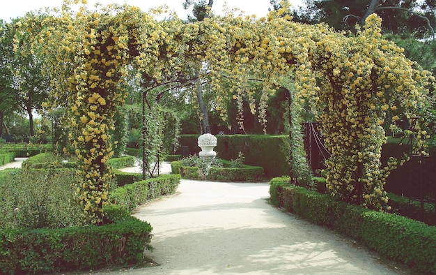 Blumenbogen aus Rosen