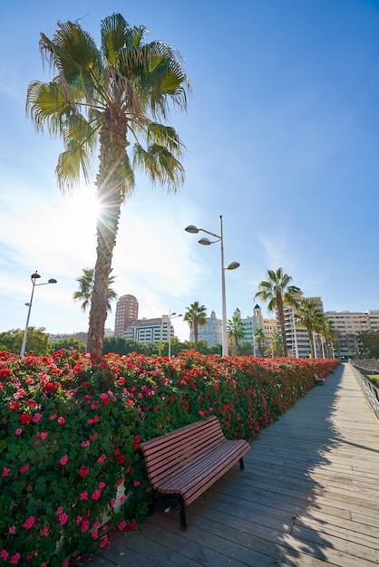 Blumenbrücke Valencia Puente de Las Flores