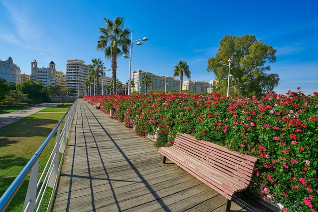 Blumenbrücke Valencia Puente de Las Flores