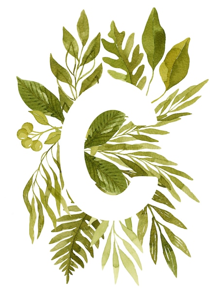 Blumenbuchstabe C Monogramm grüne Aquarellblätter Farne Eukalyptus und Beeren Blumenbeschriftung