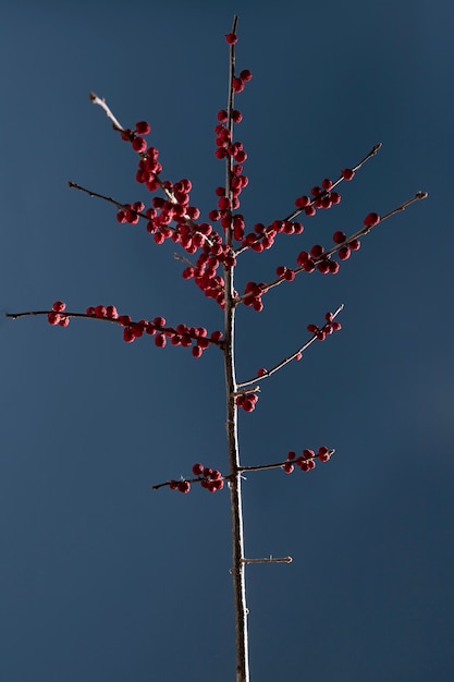 Blumendekor von vorne