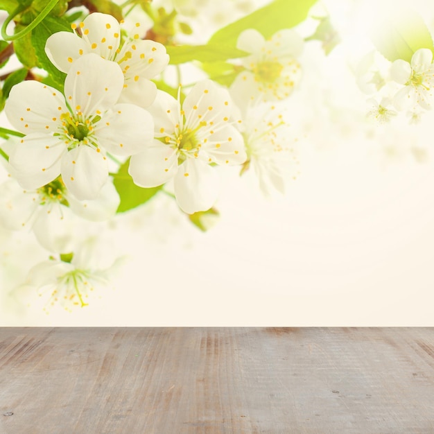 Blumenfrühlingshintergrund mit weißen Kirschbaumblumen grüne Blätter Bokeh heller und grauer leerer hölzerner Hintergrund mit Kopienraum