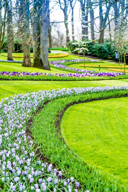 Blumengarten mit Blüte