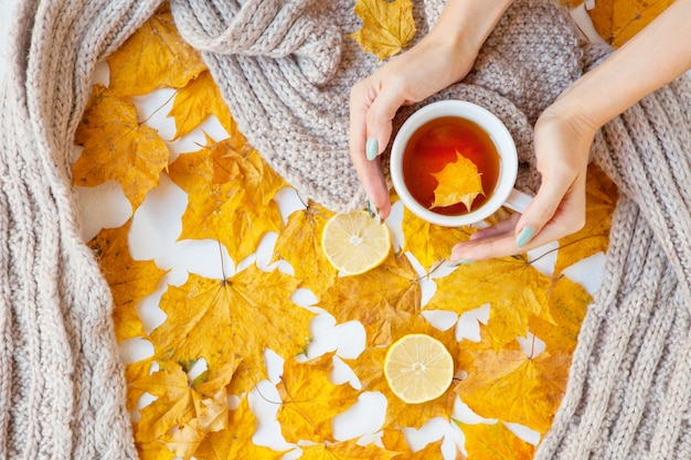 Blumenherbsthintergrund. Eine Tasse Tee in der Hand einer Frau mit gelben fallenden Blättern Ahorn. Herbstsaison. Flache Lay-Mode-Getränkezusammensetzung. Frauenhände, die eine Tasse halten. grauer Schal und Zitronen