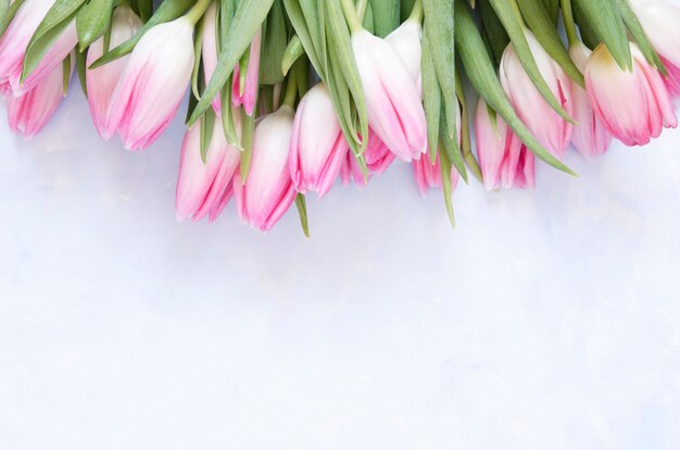 Blumenhintergrund mit tulpen blüht auf blauem abstraktem hintergrund.