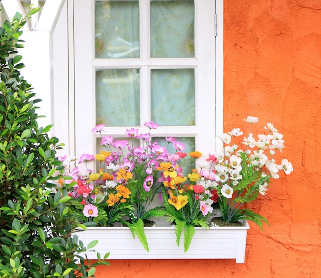 Blumenkasten im Fenster des orange Gebäudes
