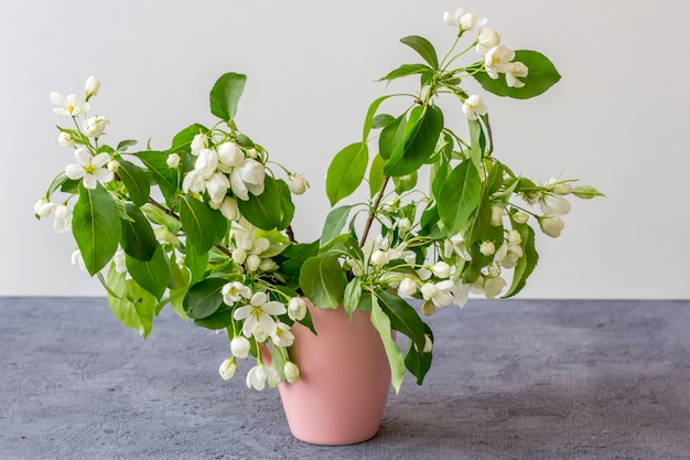 Blumenkomposition an einem sonnigen Frühlingstag. Blühende Zweige des Apfelbaums in einer rosa Minivase auf einem grauen Hintergrund. Kopieren Sie Platz für Text