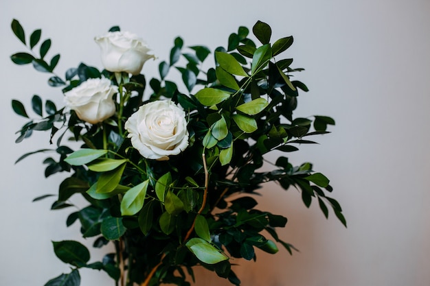 Blumenkomposition im Innenraum. Bündel mit weißen Rosen und grünen Blättern.