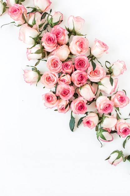 Blumenkomposition mit rosa Rosenblütenknospen auf Weiß