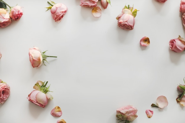 Blumenkomposition mit Rosen auf weißem Hintergrund Draufsicht mit Kopienraum