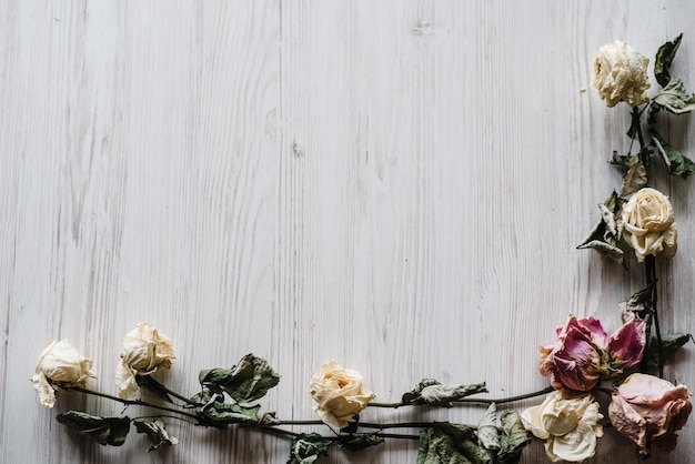 Blumenkomposition Rahmen aus getrockneten Rosenblüten auf weißem Holzhintergrund Flach liegend Draufsicht Kopierbereich Platz für Text und Design