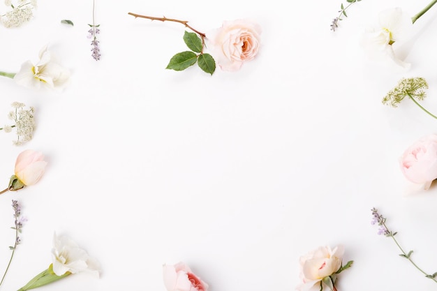 Blumenkompositionsrahmen aus rosafarbenen Rosenblüten auf weißem Hintergrund, flache Draufsicht