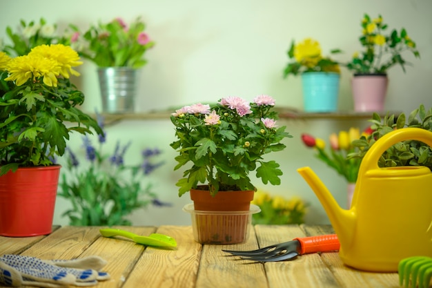 Blumenladen mit Blumengießkanne und Holztisch