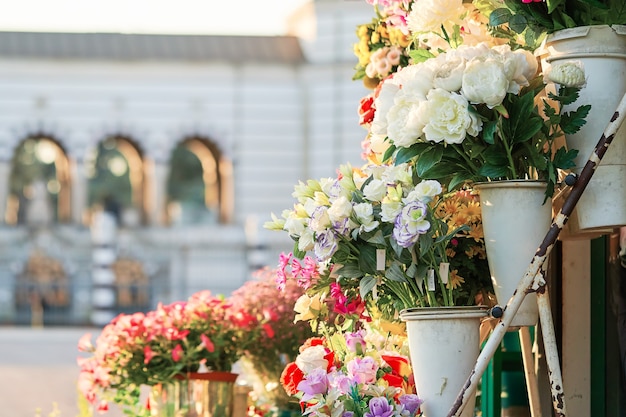 Blumenmarkt im Freien mit Rosen, Pfingstrosen und Lilien. Straßenladen der frischen Blumen in der historischen Innenstadt. Mailand, Italien