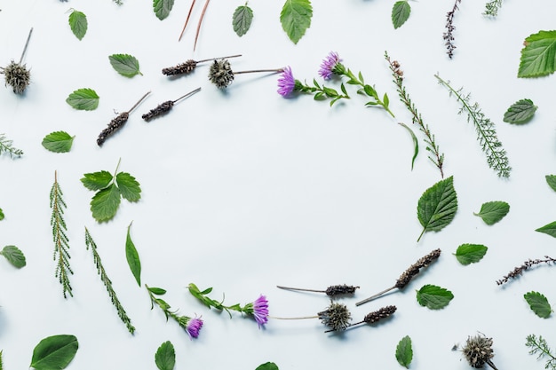 Blumenmuster gemacht von den grünen Blättern, Niederlassungen auf weißem Hintergrund