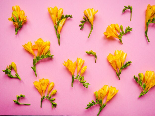 Blumenmuster von gelben Blumen, auf einem rosa Hintergrund, Musterblumen
