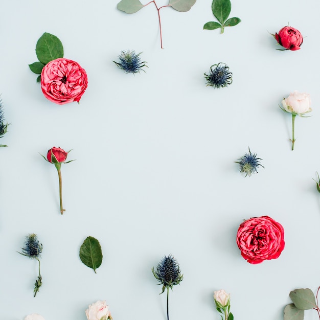 Blumenrahmen aus beigen und roten Rosen, Eukalyptuszweige auf hellem Pastellblau