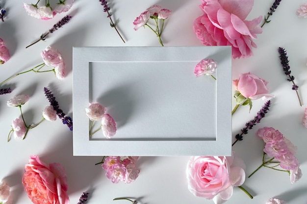 Blumenrahmen aus rosa Blumen auf weißem oder rosa Hintergrund Flache Ansicht von oben Frühlings- und Sommerkonzept Gänseblümchen-Rosen-Köpfe-Frame-Design Leerer Raum Vorlage für eine romantische Grußkarte