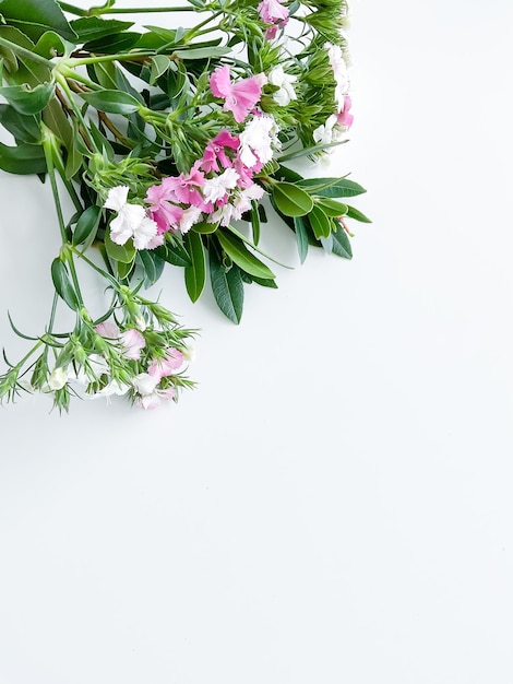 Blumenrahmen der japanischen Dianthus- und Lorbeerblätter