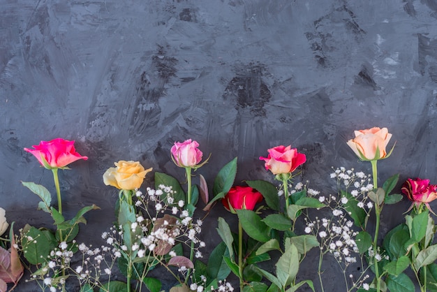 Blumenrahmen mit bunten Rosen auf grauem / schwarzem Hintergrund, flache Lage, Draufsicht