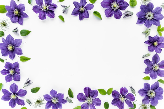 Blumenrahmen mit Platz für Text aus lila Blüten, grünen Blättern und Zweigen auf weißem Grund