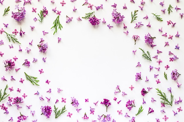 Blumenrand aus frischen Fliederblumen und grünen Zweigen auf weißer, flacher Draufsicht