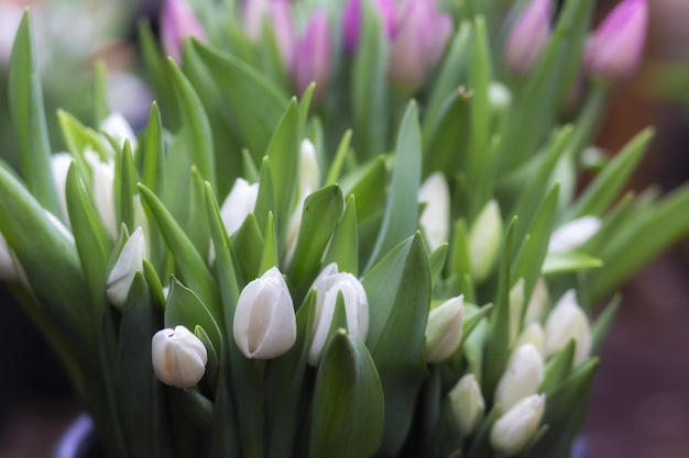 Blumensträuße aus bunten Holztulpen Tulpen zum Muttertag Geschenk zum internationalen Frauentag