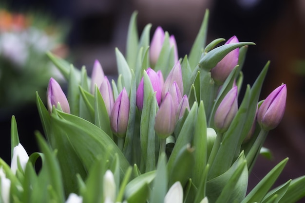 Blumensträuße aus bunten Holztulpen Tulpen zum Muttertag Geschenk zum internationalen Frauentag