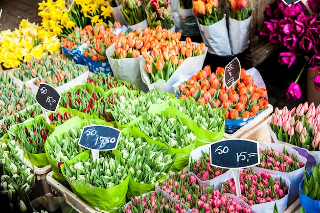 Blumensträuße von Tulpen auf Blumenmarkt in Amsterdam Stadt, Niederlande