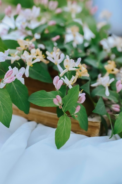 Blumenstrauß auf alten Büchern