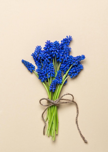 Blumenstrauß aus blauen Geozinthen in einem weißen Umschlag Karte Herzlichen Glückwunsch zum Feiertag Schönes Stillleben Valentinstag Zeichen der Aufmerksamkeit Lebendiges Geschenk Der Duft des Frühlings Wünsche