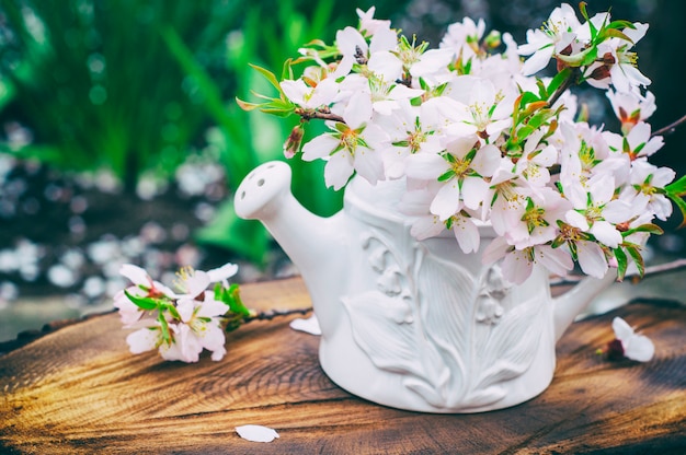 Blumenstrauß aus blühenden Mandeln in einer weißen Vase