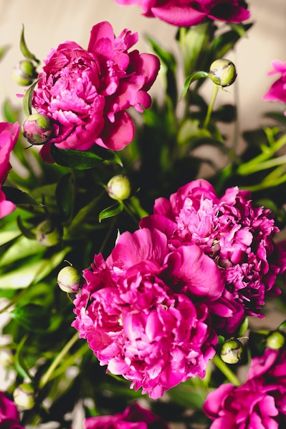 Blumenstrauß aus blühenden Pfingstrosen. Stillleben mit einem Strauß Pfingstrosen. Zarte rosa Pfingstrose