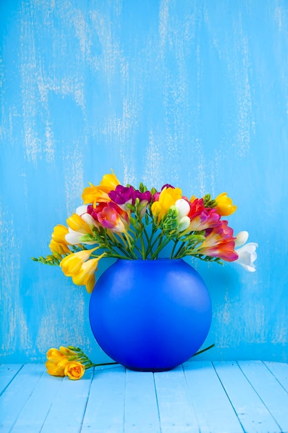 Blumenstrauß aus bunten Freesien in einer Vase auf blauem Hintergrund. Schöne Blumen.