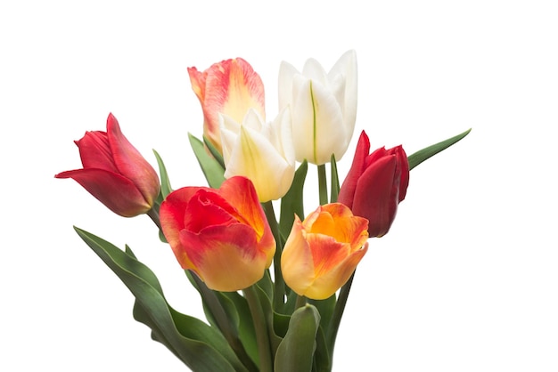Blumenstrauß aus bunten und schönen Tulpen Blumen isoliert auf weißem Hintergrund. Stilleben, Hochzeit. Flache Lage, Draufsicht
