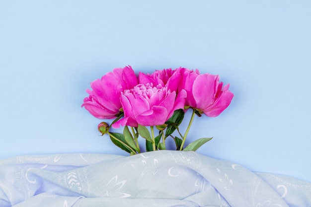 Blumenstrauß aus dunkelrosa Pfingstrose hautnah und rosa Stoff auf blauem Hintergrund Draufsicht