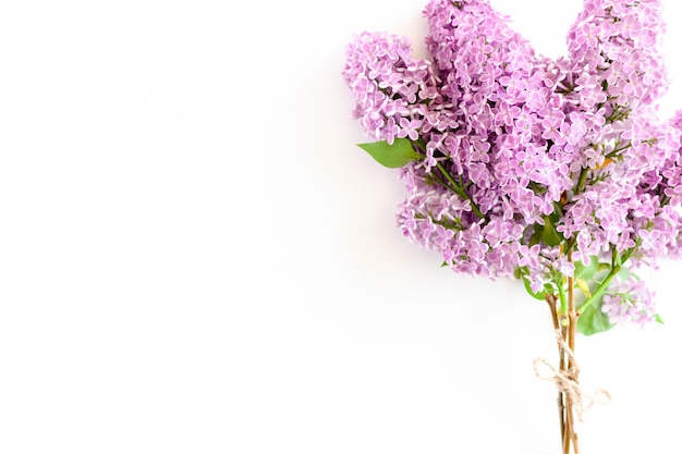 Blumenstrauß aus Flieder mit Bindfäden auf weißem Hintergrund gebunden