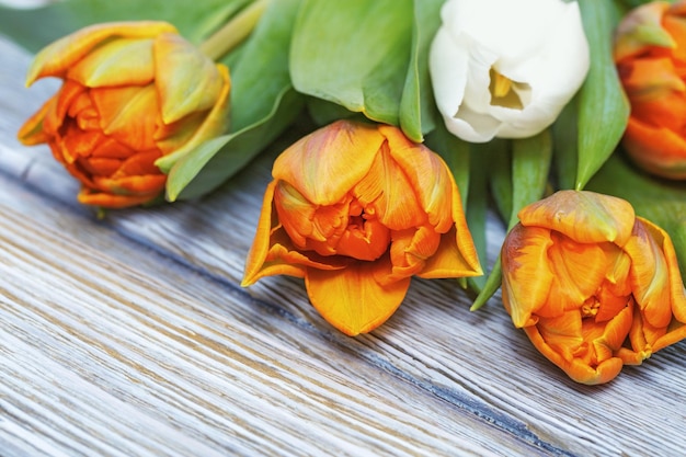 Blumenstrauß aus frischen orangefarbenen und weißen Tulpenblumen auf gealtertem Holzhintergrund