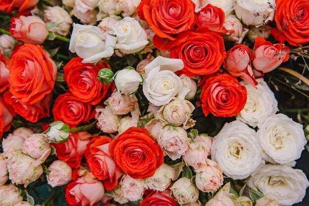 Blumenstrauß aus frischen Rosen, leuchtend roter und weißer Hintergrund für Grußkarten