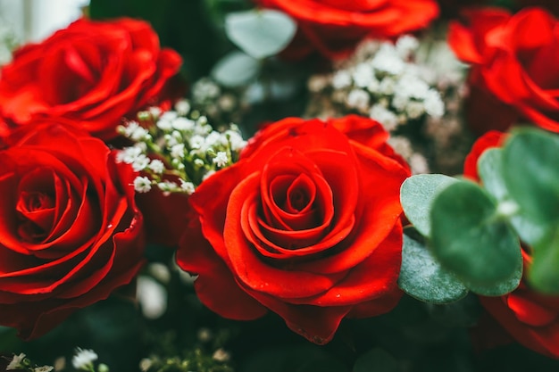 Blumenstrauß aus frischen roten Rosen blühen hellen Hintergrund